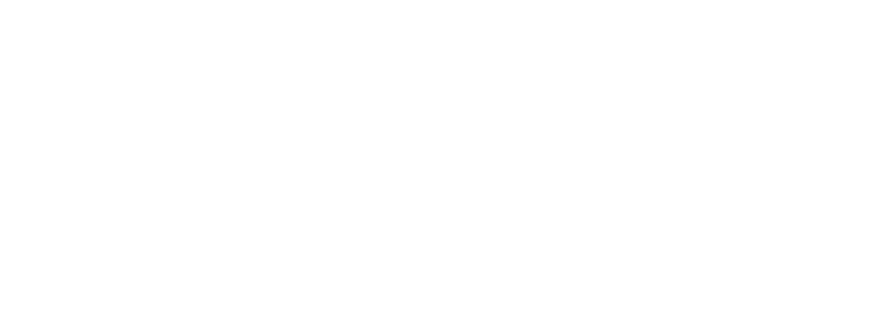 The 99